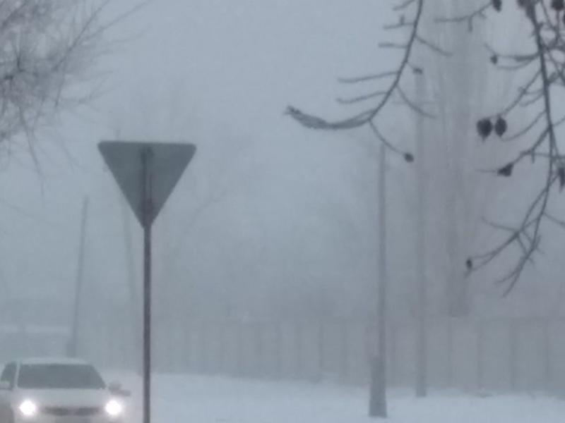 Желтый уровень опасности ввели в Воронежской области из-за гололедицы и тумана