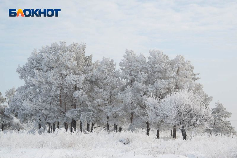 Оттепель со снегопадами встретят в начале весны жители Воронежской области