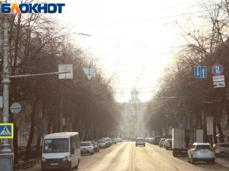 С 15-градусных морозов начнется неделя в Воронежской области