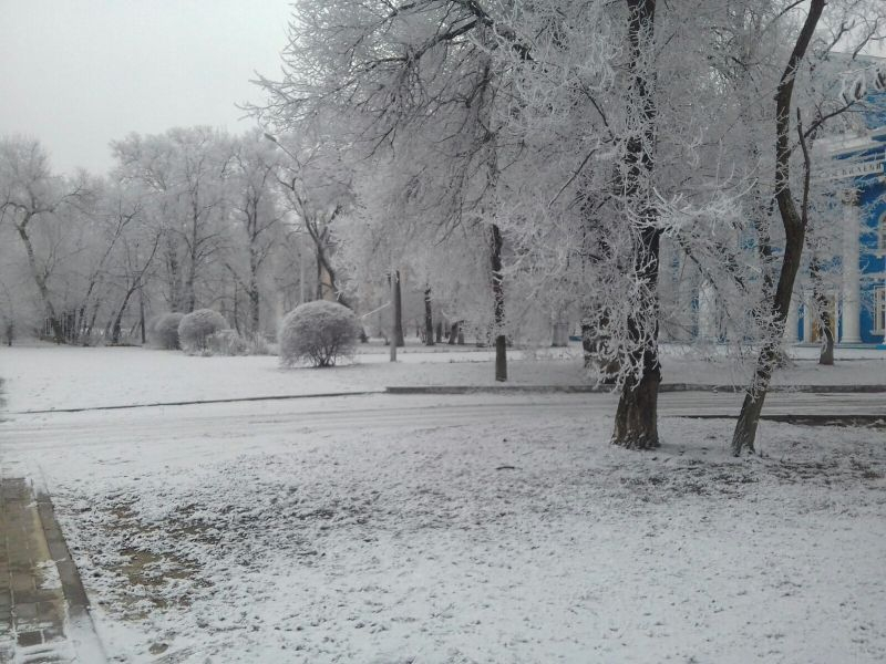 Подобие снега накрыло на выходных Воронеж