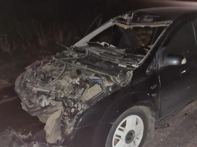 Ford Focus влетел в трактор на воронежской трассе – один человек погиб