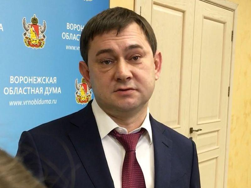 Спикер Владимир Нетесов заговорил, что воронежцы «доверяют своим депутатам»