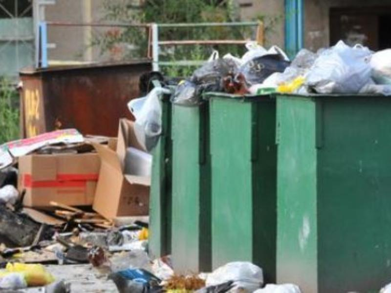 Воронежцы могут сообщить о мусорных завалах на «горячую линию»