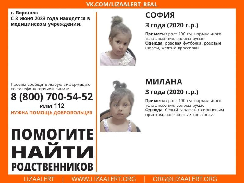 Две трехлетние девочки потерялись в Воронеже