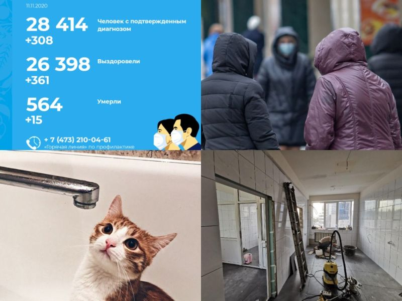 Коронавирус в Воронеже 11 ноября: +15 смертей, мнения о повторной самоизоляции и новая лаборатория