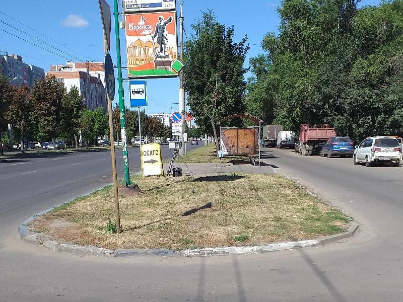 Треногу спрятали от водителей рекламой ОСАГО в Воронеже