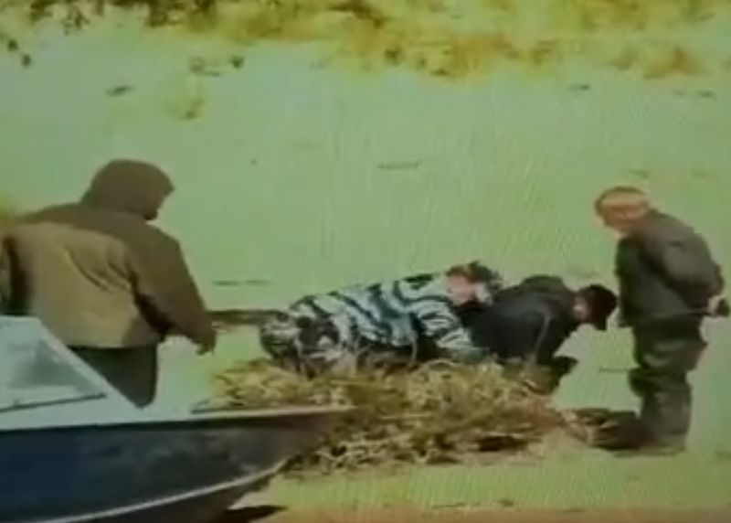 Жесткое «винтилово» рыбаков-браконьеров сняли на видео у плотины в Воронеже