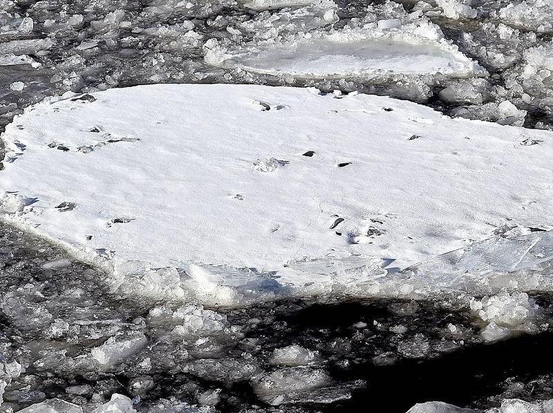 Пьяный рыбак стал заложником льдины на Воронежском водохранилище