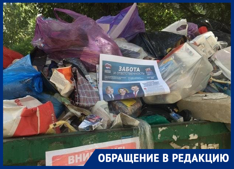 Портретами единороссов на помойке привлекли внимание к проблеме в Воронеже
