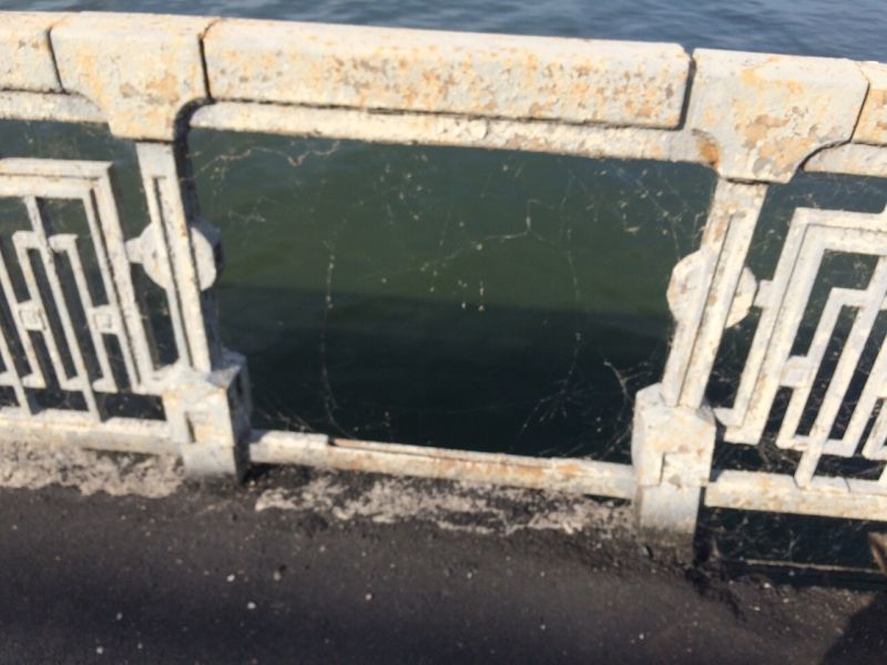 Дырявый огрех заметили воронежцы на обновленном Северном мосту