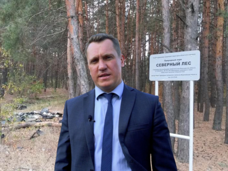 Депутат Артем Рымарь потребовал от природоохранной прокуратуры разобраться с вырубкой Северного леса