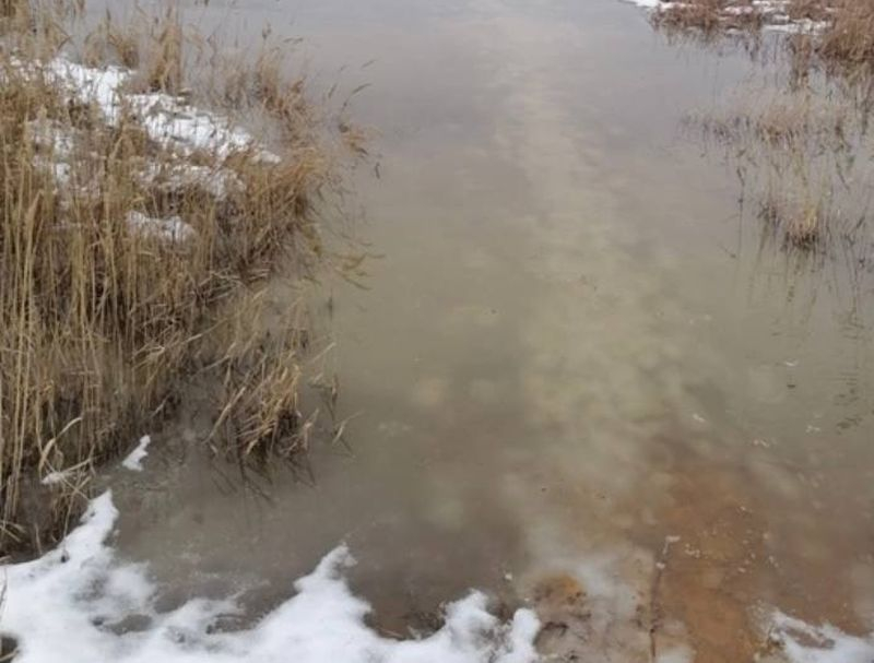 Экологи выяснят появление белой пены в сельском пруду Воронежской области
