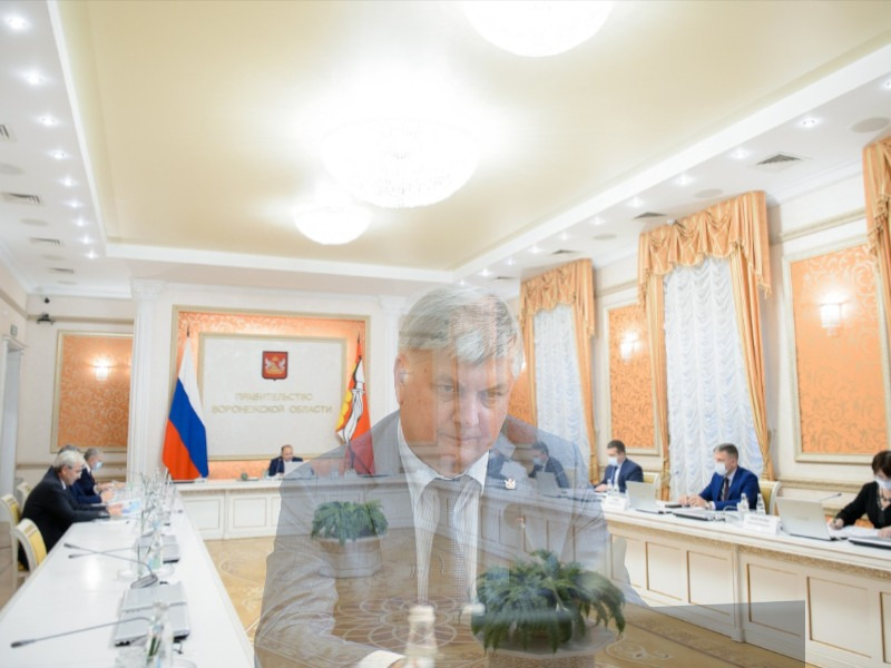 Губернатора Гусева обозвали «рудиментом» и накаркали отставку