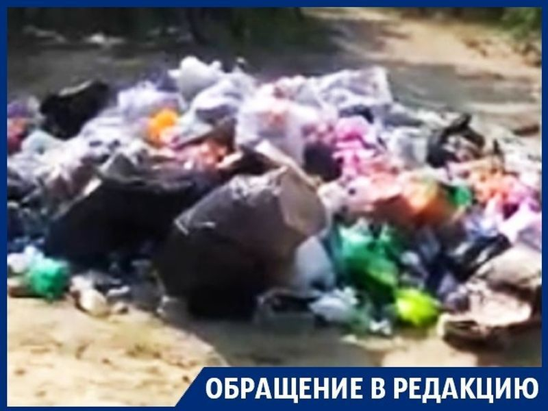 Частный пляж под Воронежем превратили в зловонную свалку