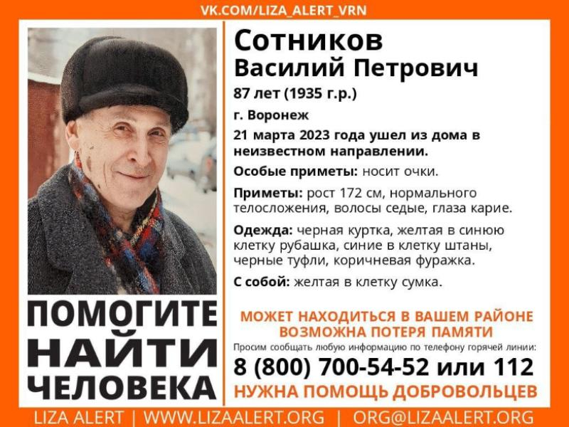 87-летнего мужчину с желтой сумкой ищут в Воронеже