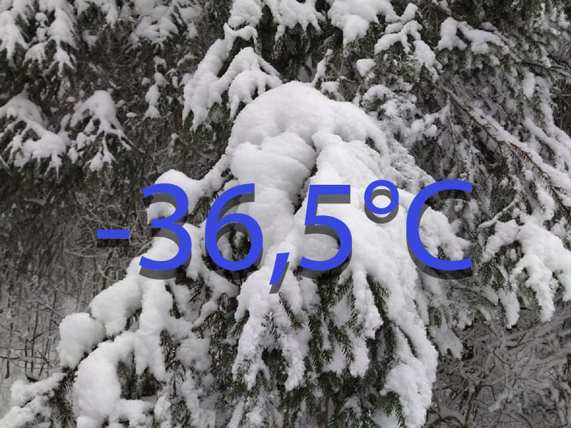 Слышали ли вы: в каком году температура в Воронеже опустилась до -36,5°C