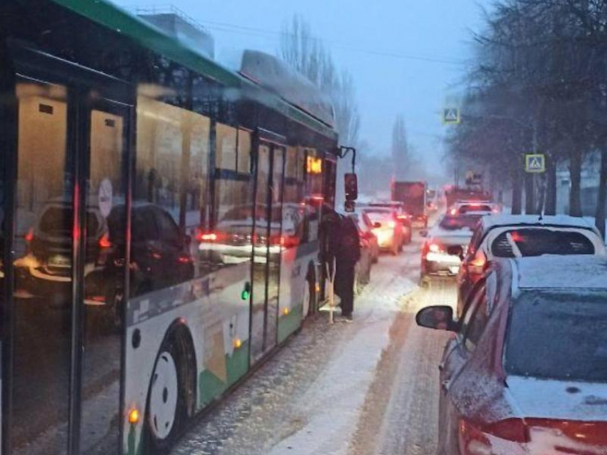 Маршрутчика наказали за опасную выходку в Воронеже 