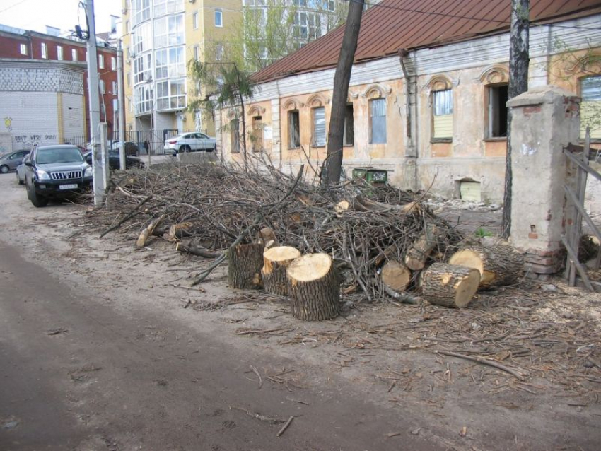 Беспощадную вырубку деревьев заметили у старинного Дома Гарденина в Воронеже