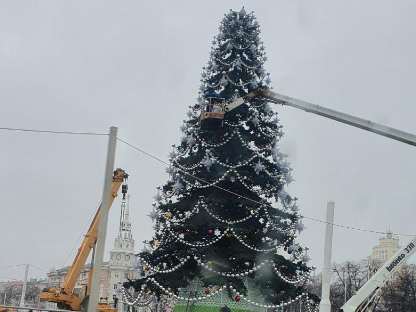 Новогоднюю елку начали демонтировать в Воронеже с опозданием 