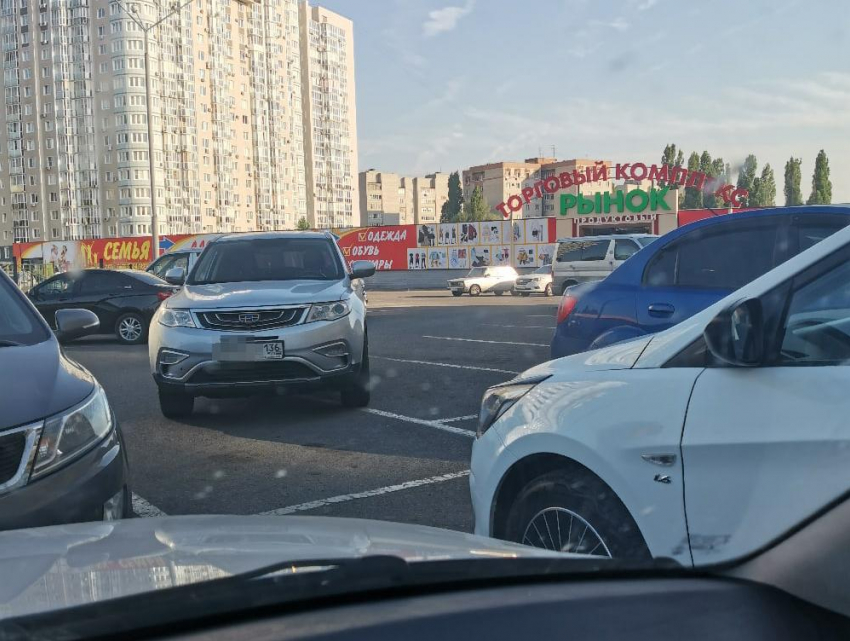 Парковку свободного человека наглядно показали у ТЦ в Воронеже