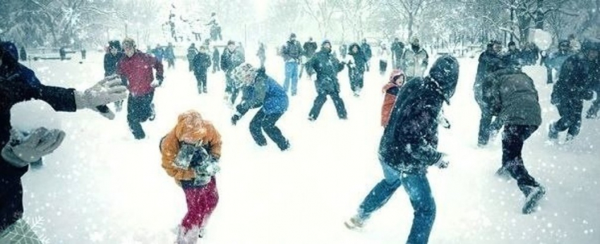 Воронежцев приглашают поиграть в снежки на Динамо