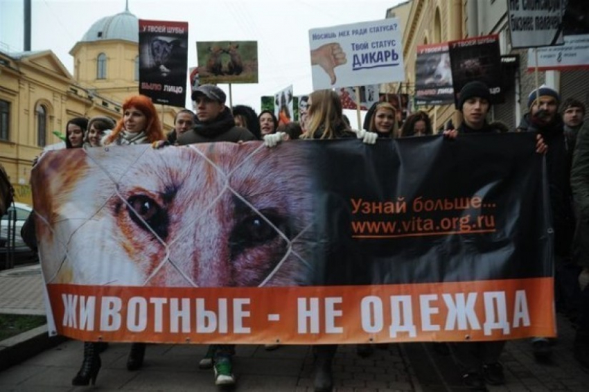 В Воронеже пройдет антимеховой марш