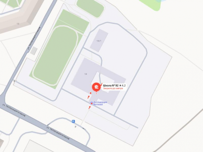  Бастрыкину стало известно об ужасной дороге у школы в Советском районе Воронежа