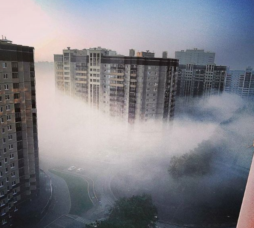 Сказочный туман в элитном районе Воронежа свел с ума своей красотой пользователей Сети