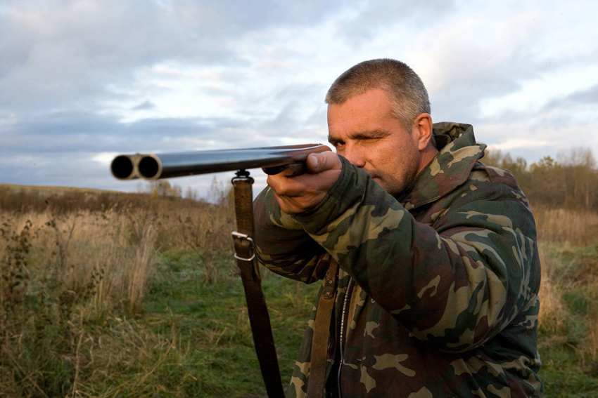 В районах Воронежской области охотников посылают к Г. Макину