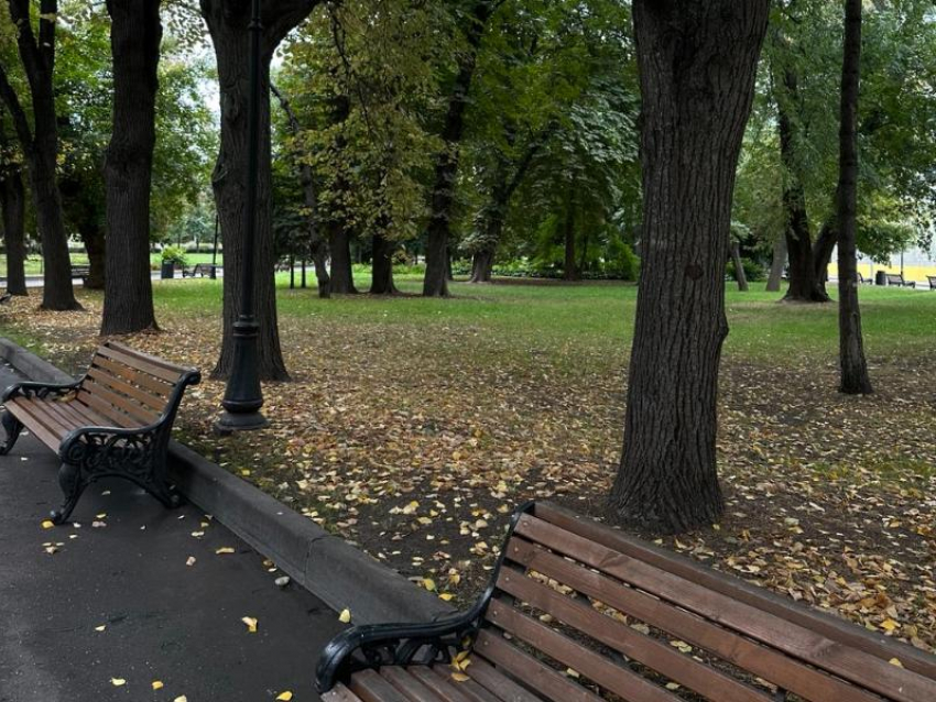 Сентябрь удивляет воронежцев 