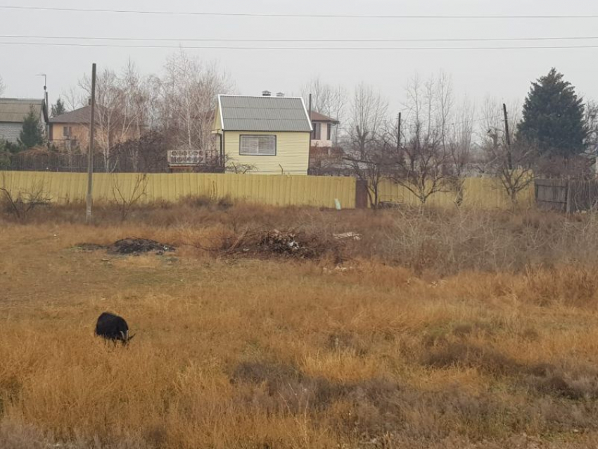 Стартовал ежегодный конкурс «Самое красивое село Воронежской области»