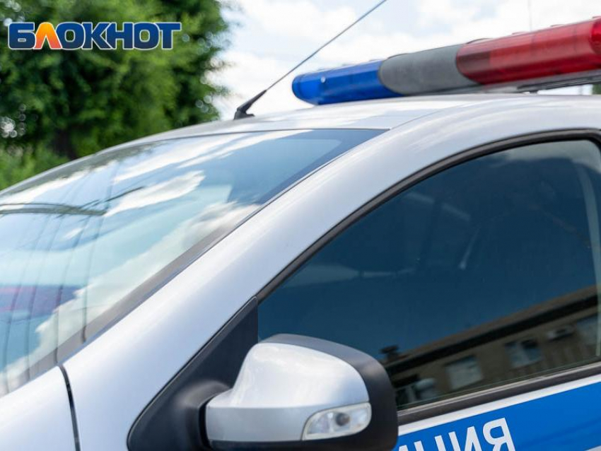 График работы МРЭО ГИБДД в праздные дни озвучили в Воронеже 