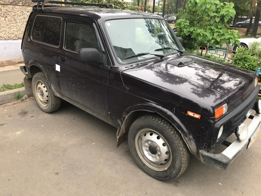 Воронежец устроил сафари на «Ниве» со стрельбой из ружья по людям