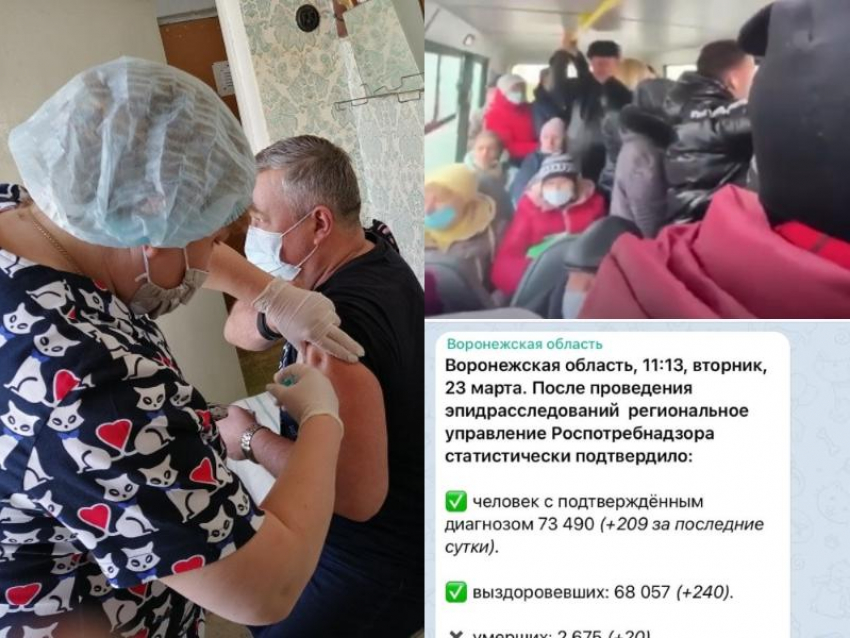 Коронавирус в Воронеже 23 марта: +209 зараженных, 20 смертей и актуальное число привитых 