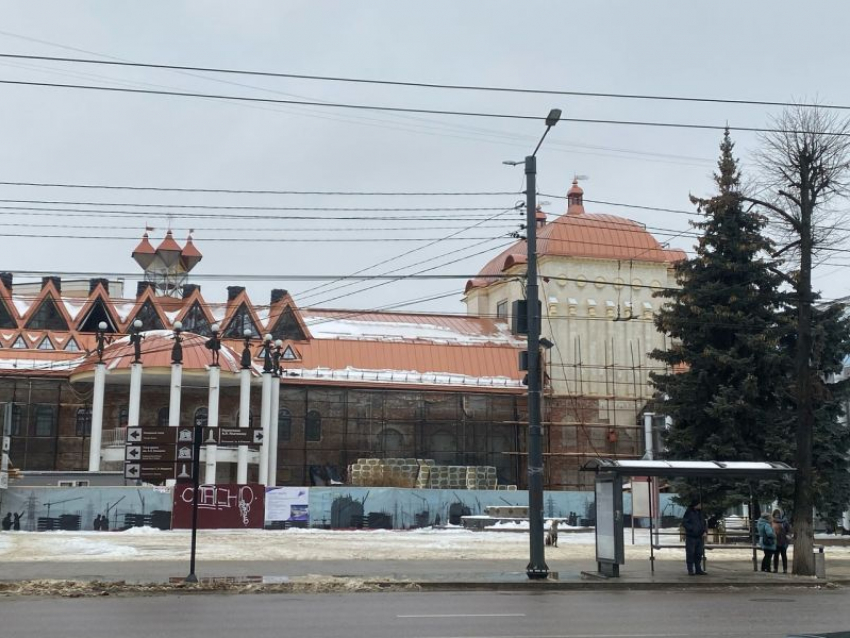 Федеральный чиновник проверит скандальную реконструкцию театра кукол в Воронеже