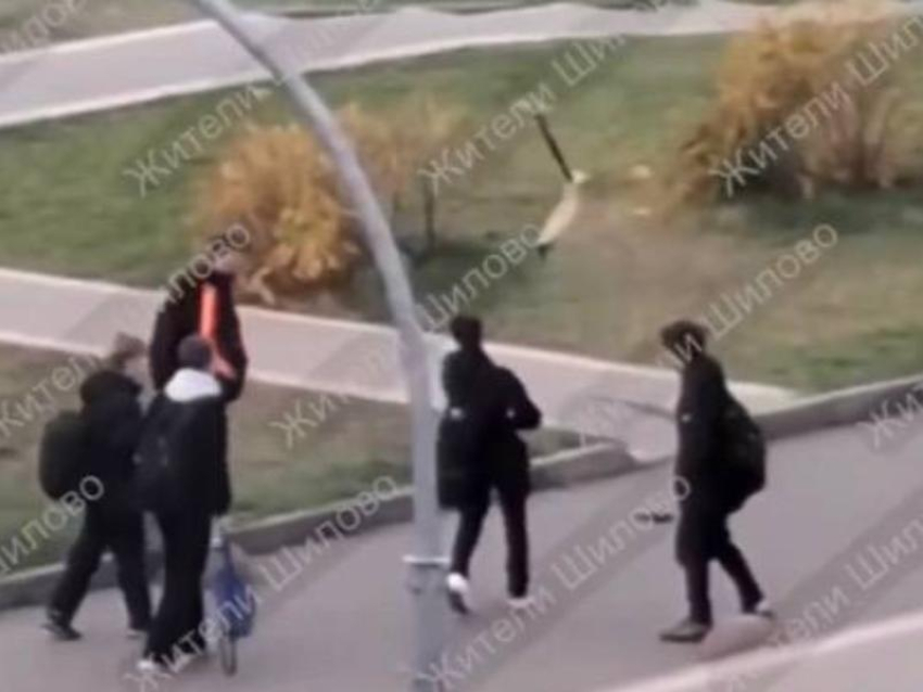 Школьники устроили показательную «казнь» чужому самокату в Воронеже