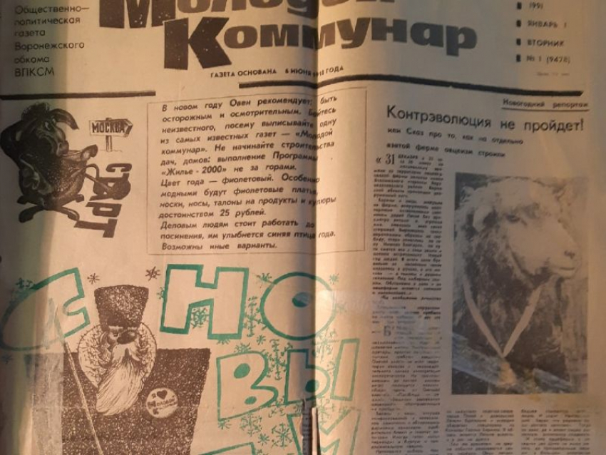 29 лет назад воронежцев на Новый год позабавили репортажем о «бараньей власти»