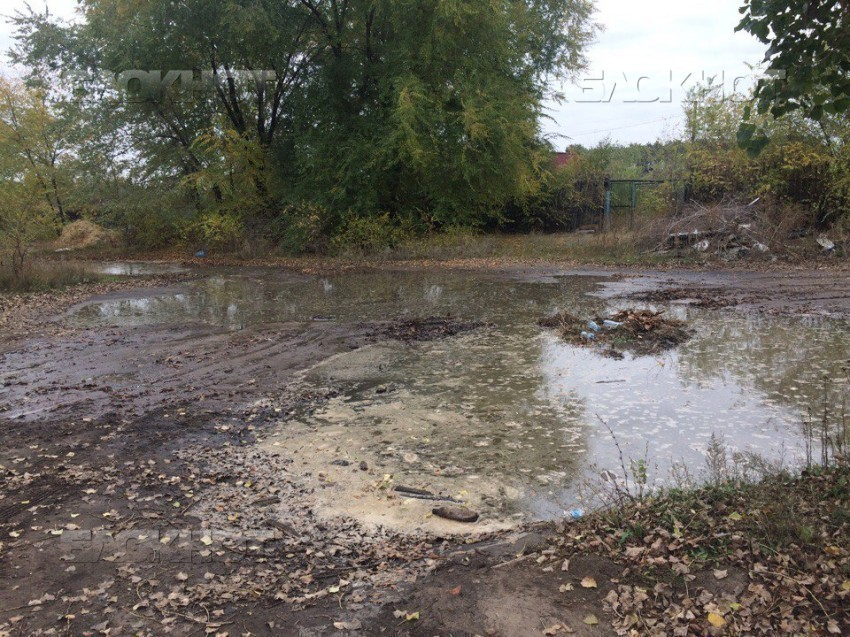 Загрязняющие вредоносные вещества, сбрасываемые «ЭкоЛайнером", подтвердили лабораторно в Воронеже