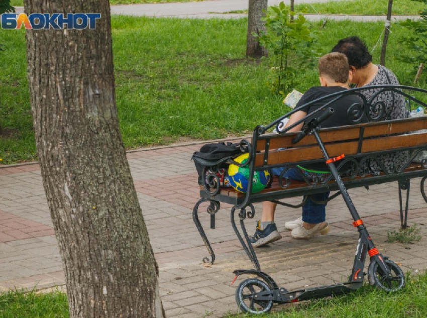 Два парка и сквер будут реконструировать в Воронеже