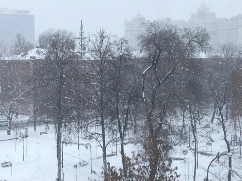 Снежный апокалипсис с обледенением обрушатся на Воронеж