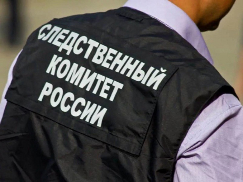 Экс-директор детдома ответит за избиение сирот в Воронежской области 