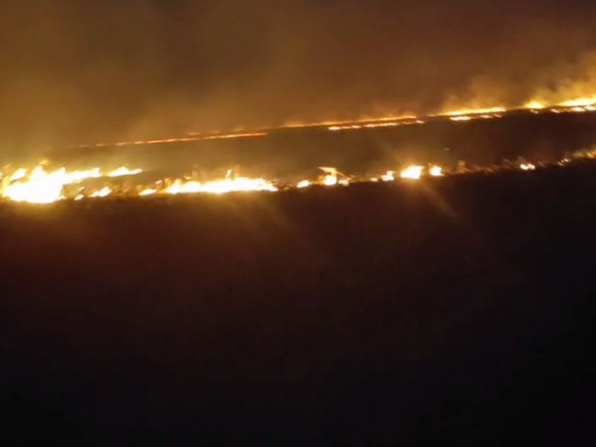 Огненный ад на фоне противопожарного режима сняли на видео в Воронежской области