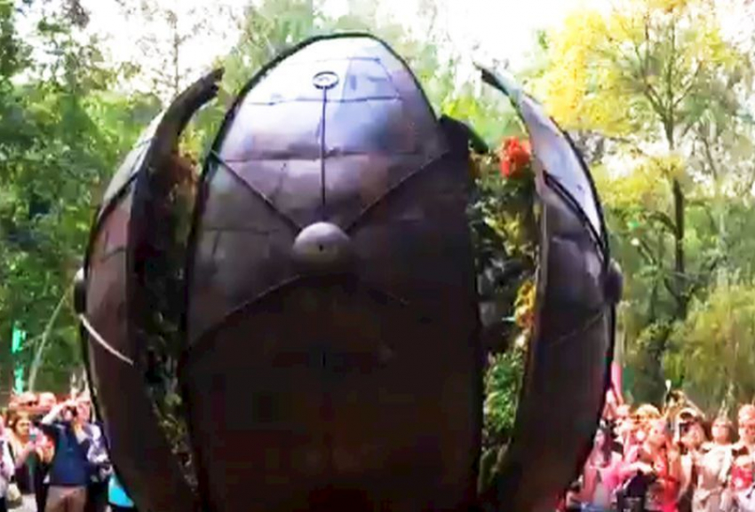 Чудо-яйцо в Центральном парке Воронежа попало на видео