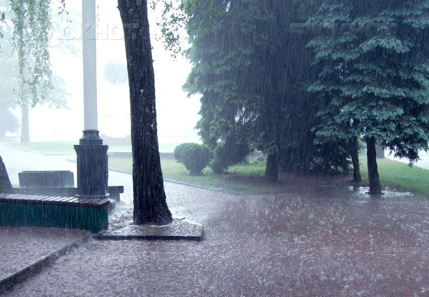 На длинных выходных Воронеж зальет дождем