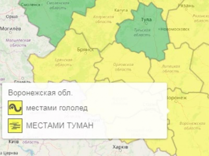 Об опасном гололеде предупредили жителей Воронежской области