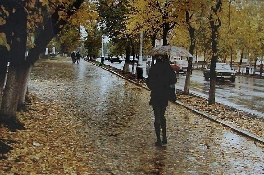 Погода в Воронеже: в ближайшие дни будет дождливо и + 8°С