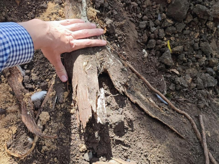 Улицу ремонтируют - щепки летят: что происходит на Карла Маркса в Воронеже