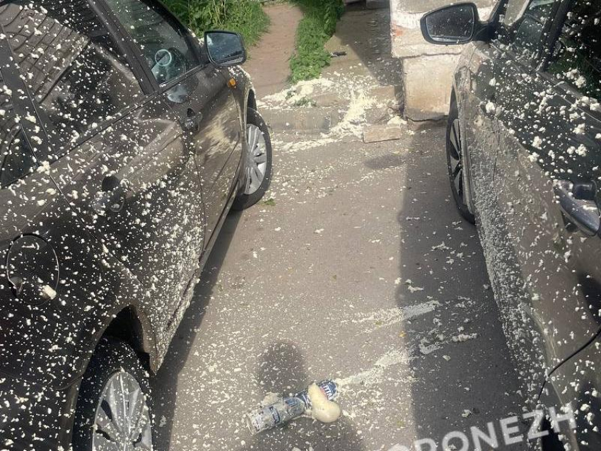 Пенное развлечение вывело из себя жителей Воронежа