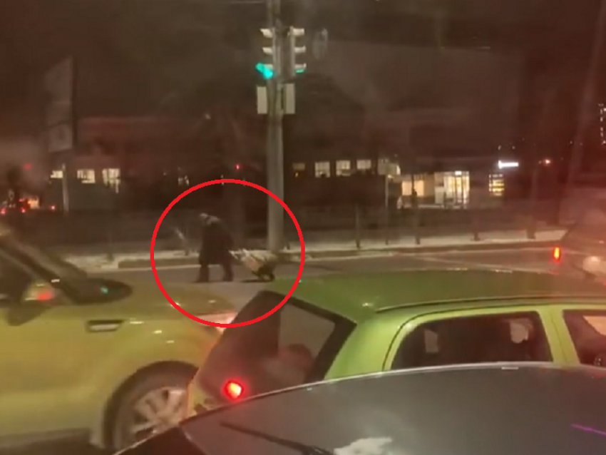 Сутулая старушка бросила вызов оживленному проспекту в Воронеже