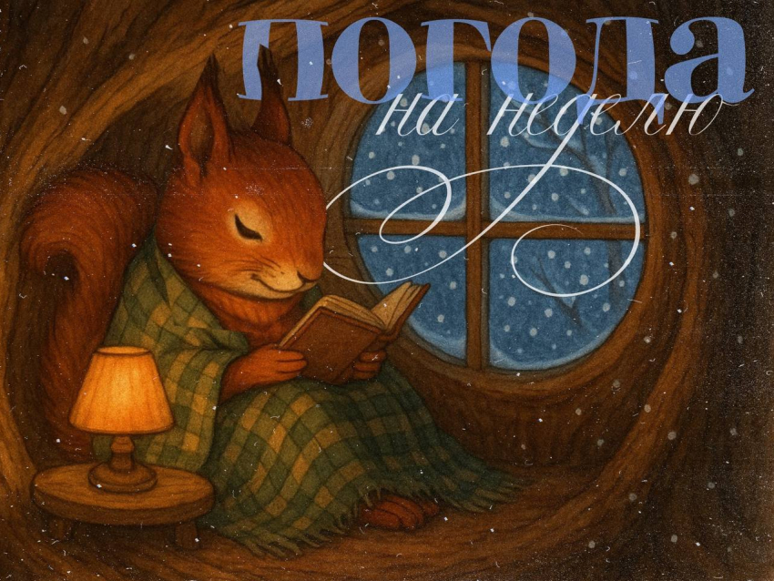 Какая погода придет в Воронеж вместе с декабрем? 